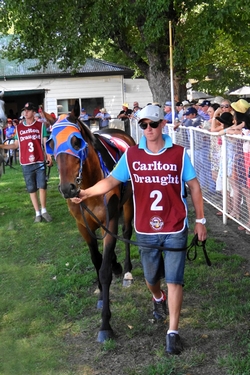 Mounting Yard Photography by Brian Paatsch